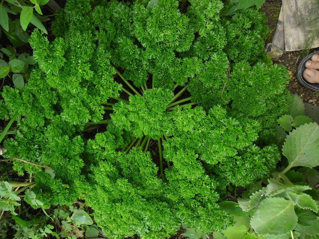 Rinconcito Verde Ujarrás 외부 사진